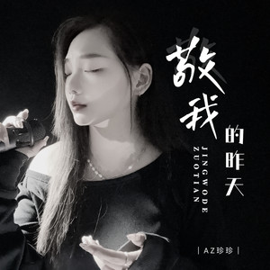 敬我的昨天-AZ珍珍