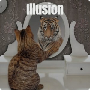 Illusion