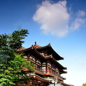 在这场淅沥沥哗啦啦纷纷扬的雨中