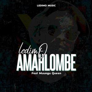 Amahlombe (feat. Muungu Queen)