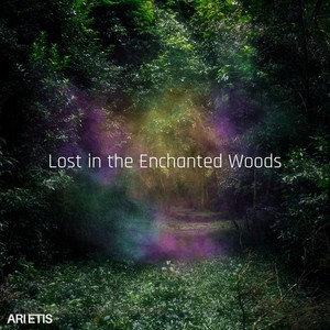 Lost in the Enchanted Woods