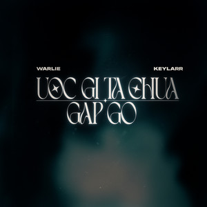 Ước Gì Ta Chưa Gặp Gỡ