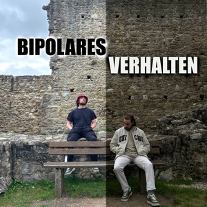 Bipolares Verhalten (Explicit)