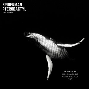 The Whale (Mole Machine Remix)