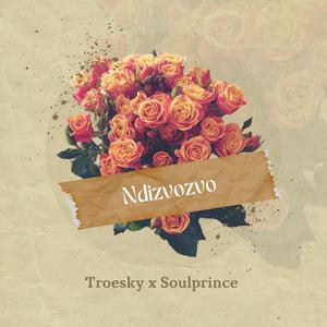 NDIZVOZVO (feat. Soulprince)
