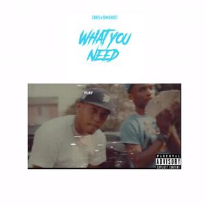 What You Need (feat. FAM Ghost) [Explicit]