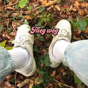 Flieg weg (Explicit)