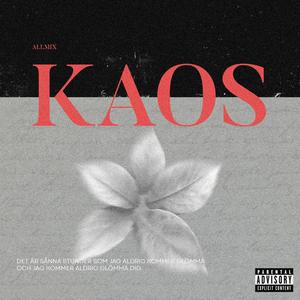 Kaos