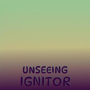 Unseeing Ignitor