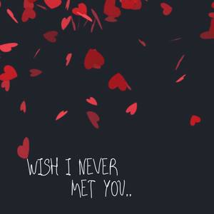 Wish I Never Met You (Explicit)