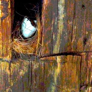 Being Young (feat. Flodhern) (Radio Edit)