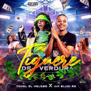 Tiguere de Verdura (feat. Yomel El Meloso) [Explicit]