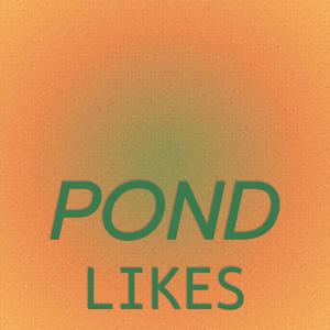 Pond Likes