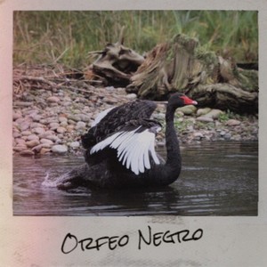 Orfeo Negro