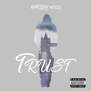 Trust (Explicit)