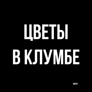 Цветы в клумбе