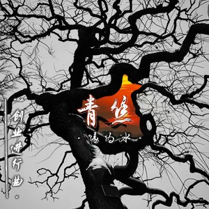 青丝 (伴奏)封面