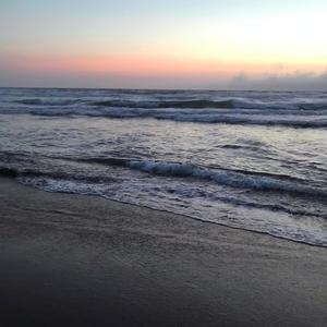 The Fighter(feat. Distobal)