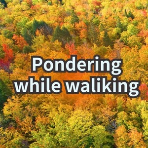 Pondering while walking
