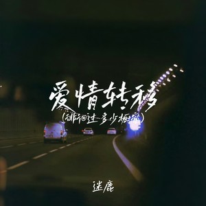 爱情转移(徘徊过多少橱窗)