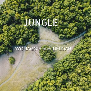 Jungle (Explicit)