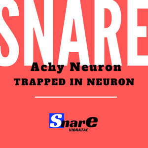 Trapped In Neuron (Original Mix)