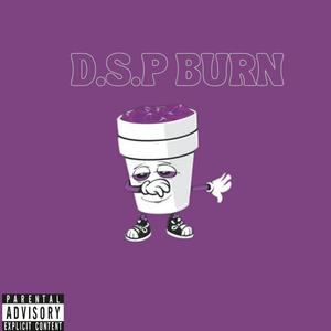 D.S.P BURN (Radio Edit|Explicit)