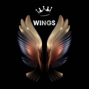 Wings