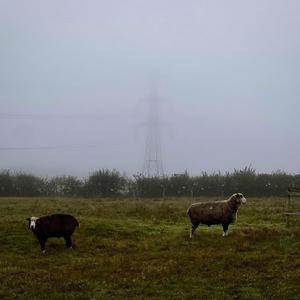 Counting Pylons