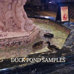 Duck Pond Samples