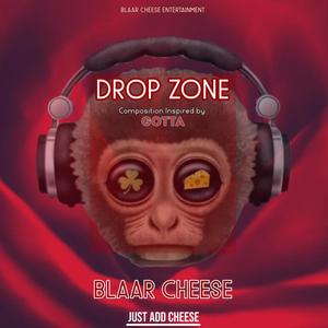 Drop Zone