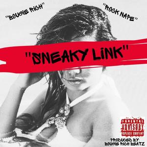 Sneaky LinK (feat. Rock Nape) [Explicit]