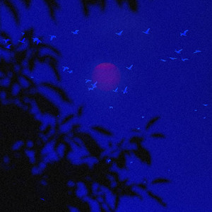 想你的夜-你星