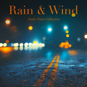 Rain & Wind (Rain and Wind for Better Sleep)