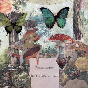 Until Our Paths Cross Again