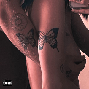 Moths (Explicit)