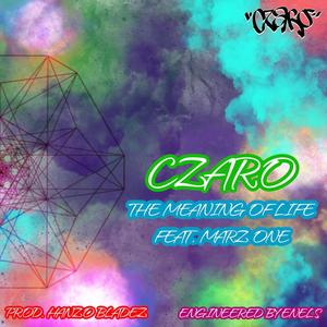 Meaning of Life(feat. Marz One)