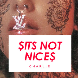 $ITS NOT NICE$