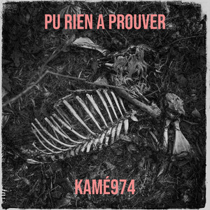 Pu rien a prouver