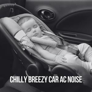 Chilly Breezy Car AC Noise