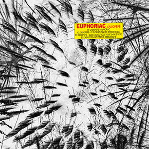 Euphoriac (Tiger & Woods Remix)