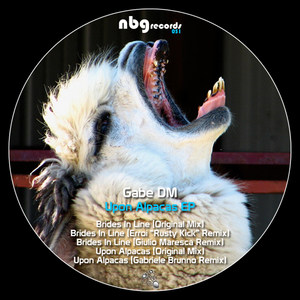 Upon Alpacas (Gabriele Brunno Remix)