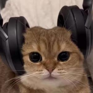 I Need Help (feat. 0yukixx) (Explicit)