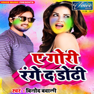 Ae Gori Range da Dhodi - Single