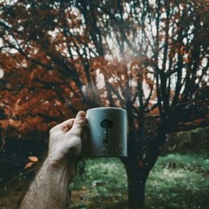 Gentle Rain