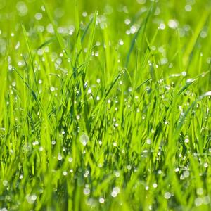 人闲桂花落,夜静春山空。 月出惊山鸟,时鸣春涧中.来自大自然的声音 助眠-助眠纯音乐