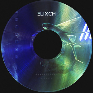 Exocoetidae (Original Mix)