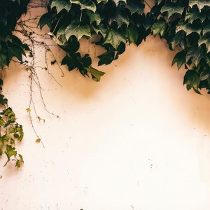 爱光临夏天 (伴奏)