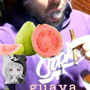 Guava