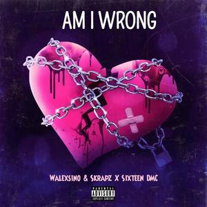 AM I WRONG ? (feat. Skrapper & Sixteen DMC) [Explicit]